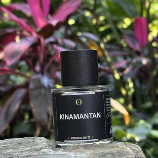 Sultan Murad - Ensar Oud