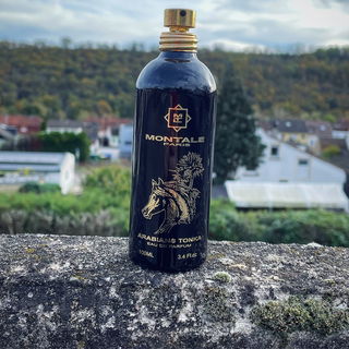 Arabians Tonka - Montale