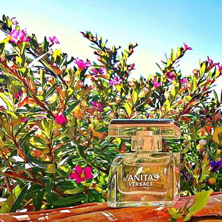 Vanitas (Eau de Parfum) - Versace