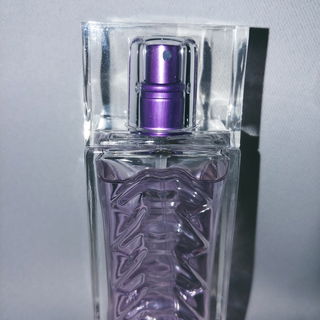 Purplelight by Salvador Dali