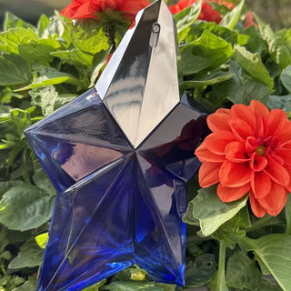 Angel Stellar by Mugler