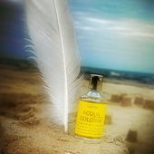 Zaubersommer 2023 (von CharlAmbre)