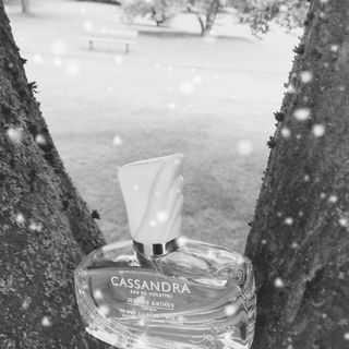 Cassandra - Jeanne Arthes