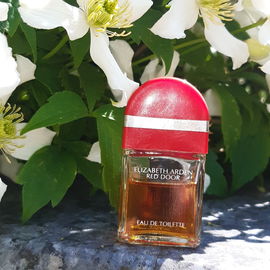 Red Door (Eau de Toilette) - Elizabeth Arden