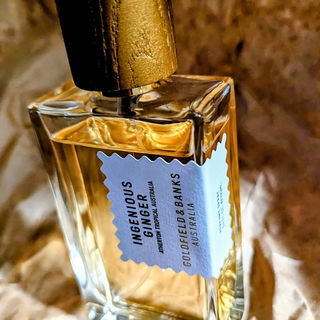 Ingenious Ginger von Goldfield & Banks