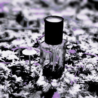 Velvetine (2021) - Pineward