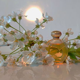 Nina (1987) (Eau de Toilette) - Nina Ricci