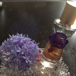 Manifesto by Yves Saint Laurent