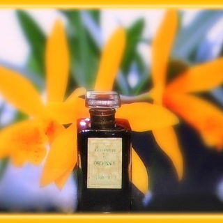 Evocation d'Orchidée - Pierre Dune