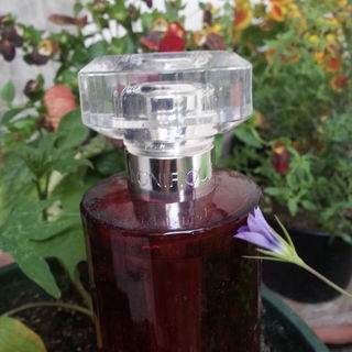 Magnifique (Eau de Parfum) von Lancôme