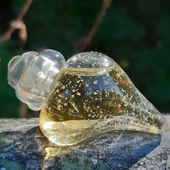 🍁🌞💙🥰 Fang das Licht ein und lass es leuchten, wenn die Sonne über den Wolken nur scheint. Ich wünsche Euch sonnige Tage, an denen Sonne und Licht eine Einheit werden. Schönen Feiertag und ein erholsames Wochenende und vielen lieben Dank für Euren Besuch bei der Muschel und mir. Lg Kailani 💙🥰🍁🍂 (von Kailani)