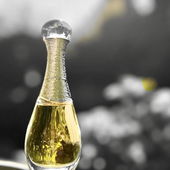 flüssiges Gold 💛 (by DANA17)