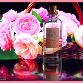 Classic Collection: Aqua Floralis - Rose - Florascent