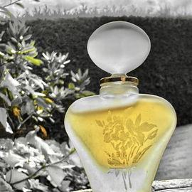 Moments (Parfum) - Priscilla Presley