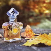 .. Es gibt eine Stille des Herbstes bis in die Farben hinein ..... (H.v. Hofmannsthal) ..... (by IrisNobile)