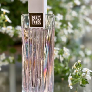 Bora Bora (Eau de Parfum) von Curve