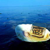 Habt vielen vielen Dank fürs Anschauen und all das Lob, ihr Lieben! (von PureNeugier)