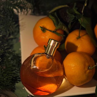 Elixir des Merveilles von Hermès