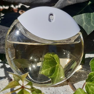 💦🥰🍁 Es blitzt ein Tropfen Morgentau im Strahl des Sonnenlichts; ein Tag kann eine Perle sein und ein Jahrhundert nichts (Gottfried Keller) . Danke für Eure Besuche , ich freue mich sehr. Ich wünsche Euch ein schöne Zeit mit vielenTagen, die wie Perlen sind. Lg 🍁🥰💦