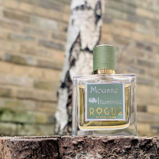Mousse Illuminée von Rogue