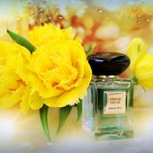 Frohe Ostern ? (by Gandix)