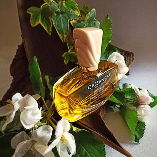 Cassandra - Jeanne Arthes