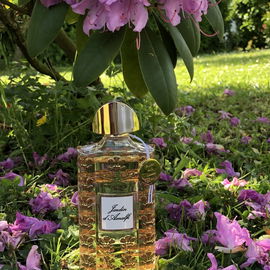 Jardin d'Amalfi - Creed