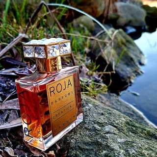 Innuendo / Creation-I (Parfum)