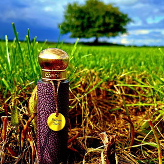 Parfum Sacré (1990) (Eau de Parfum) by Caron