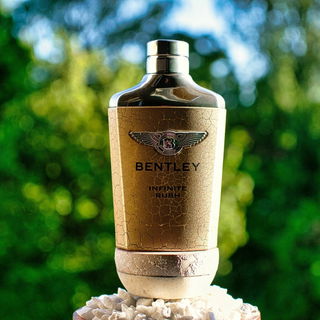 Bentley Infinite Rush - Bentley