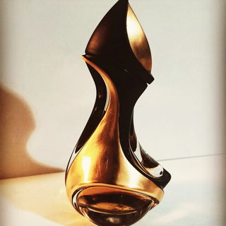 Donna Karan 24K Gold and Black Edition von DKNY / Donna Karan