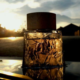 Abendsonne - Vielen Dank - https://m.youtube.com/watch?v=8FB9GYkIT3E