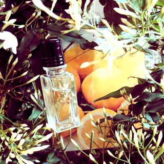 Jasmin & Bergamote - L'Occitane en Provence