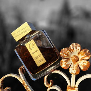 Bronzo by Omnia Profumi