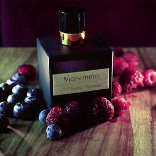 Maremma - Tiziana Terenzi