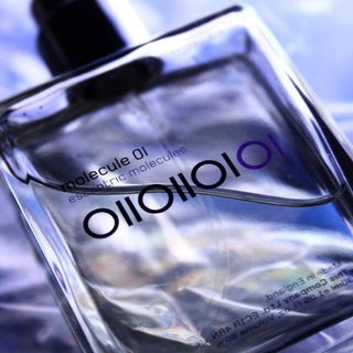 Molecule 01 von Escentric Molecules