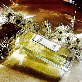 Jean-Louis Scherrer (Eau de Toilette) - Jean-Louis Scherrer