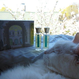 Timbuktu von L'Artisan Parfumeur