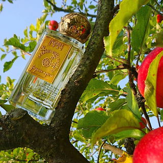 La Danza delle Libellule (Eau de Parfum) - Nobile 1942