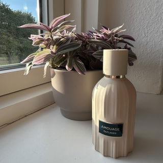 Outlands by Amouage