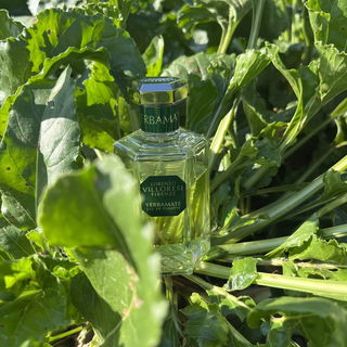 Yerbamate von Lorenzo Villoresi