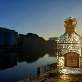 Nach dem Regenschauer…. hat sich alles beruhigt und die Sonne erstrahlt wieder. Sonnigen Herzensgruß zu euch, Ihr wunderbare Duft-Community🙏🏽