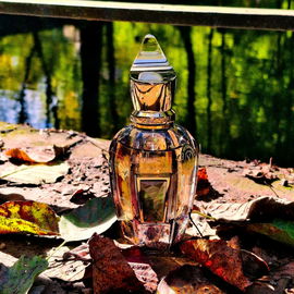 Was funkelt da im Herbstlaub? 🍁🍃🍂