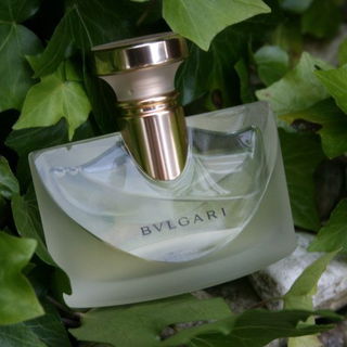 in meinem Garten aufgenommen :-)