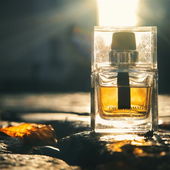 Danke euch für die warmen Worte zu der herbstlich-kühlen Strahlen der Nachmittagssonne. (von ChopIsland)