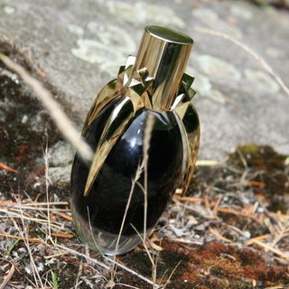 in meinem Garten aufgenommen :-)