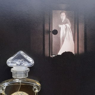 Vielen Dank Euch allen für die Begeisterung :-)