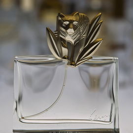 Jungle Le Tigre - Kenzo