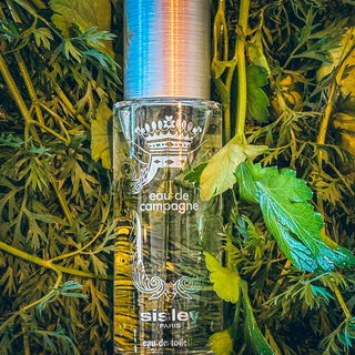 Heute von einer tollen Mitarbeiterin in einer Parfümerie empfohlen! Bin total begeistert! So schön im Sommer! Behind the scenes: Frisch aus der Parfümerie, dann noch kurz beim Biobauern Gemüse geholt und da lag sie: diese knallgrüne Wegwerfkiste. Ich hab sie gesehen und dachte nur: „Perfekt fürs Foto.“ Also zum Auto, Duft raus, reingelegt. Die Blicke der Leute? War es wert 😀.