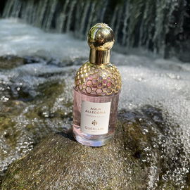 Missing Person (Eau de Parfum) - Phlur